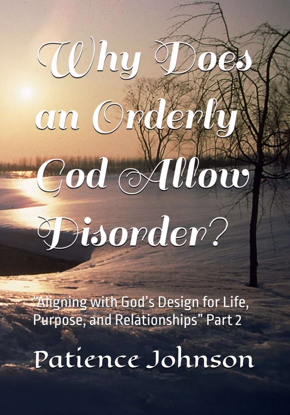 Christian book about God's purpose, why does God allow difficult times, finding purpose in difficult seasons, aligning your life with God,